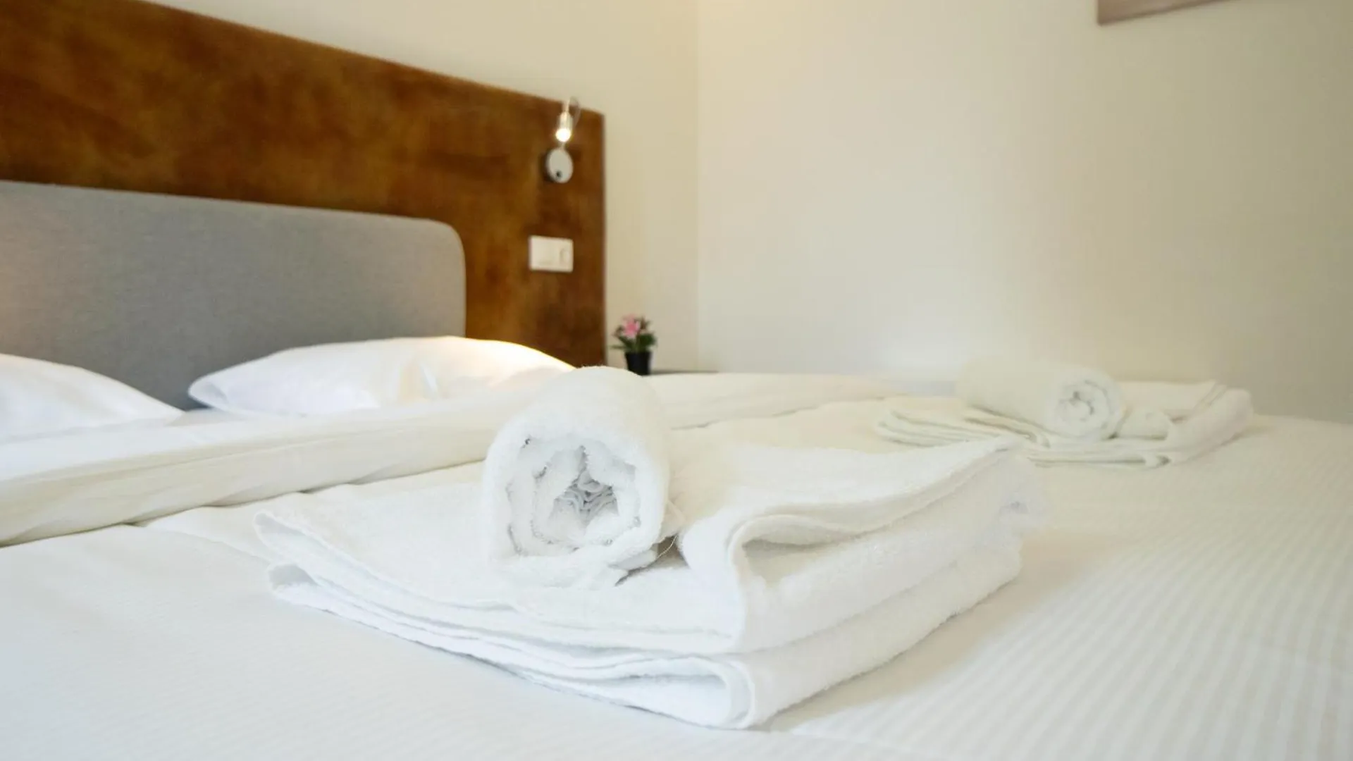 Apartment Modern Studio With Queen-Size Bed, Self Check-In Vienna Austria
